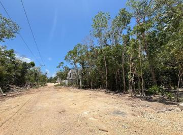 Terreno / Lote · 565m² · Terreno en Venta en Region 15 Tulum