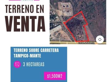 Terreno / Lote · 30000m² · Terreno en Carretera Tampico Mante