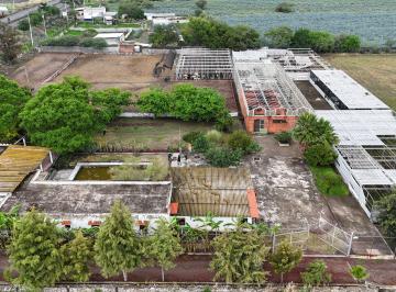 Rancho de 13 habitaciones, Ixtlahuacán de los Membrillos · Rancho en Renta con Invernadero en Atequiza Ixtlahuacan de Los Membrillos