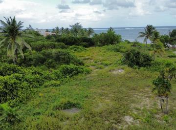 Terreno / Lote · 10000m² · Terreno en Venta en Mahahual
