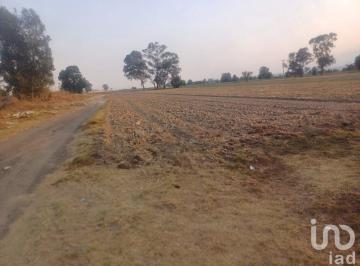 Terreno / Lote · 4279m² · Terreno en Renta Carretera Federal a Huejotzingo Puebla