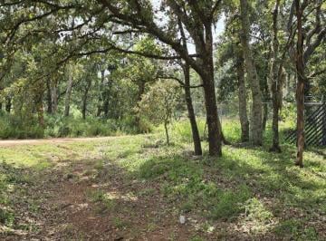 Terreno / Lote 500m² Venta Poblado comunal Agua Zarca · Terreno 500 m² en Venta, Agua Zarca, Ideal Inversión