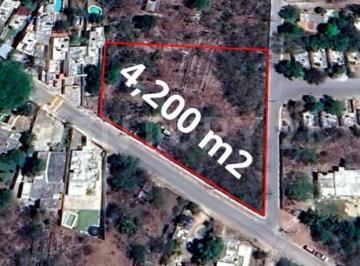 Terreno / Lote · 4200m² · Terreno en Venta en Conkal, Yucatán