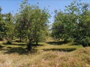 Terreno comercial · 18702m² · Terreno Rustico en Huejotzingo, Puebla - (4)