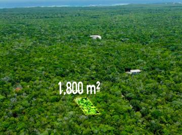 TERRENO en Chemuyil, Titulado · 2 Terrenos en Chemuyil, Tulum 900 m² c/u