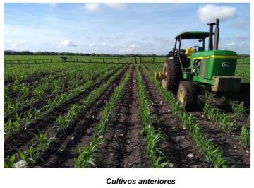 Rancho , Xicoténcatl · Rancho en Venta en por Las Adjuntas en Municipio de Gonzalez en Tamaulipas