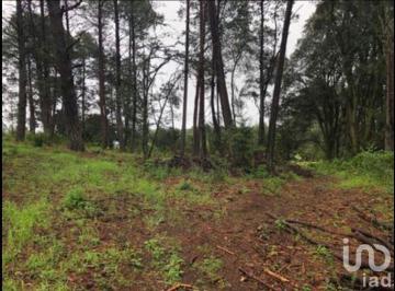 Terreno / Lote · 1220m² · Lote Campestre en Medio del Bosque en Omitlan