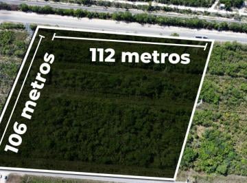 Terreno comercial , Benito Juárez · Terreno en Venta Carretera Federal Cancún