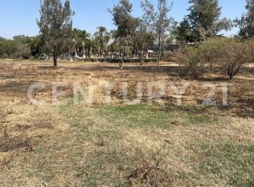 Terreno / Lote · 1750m² · Terreno en Renta en Zapote del Valle