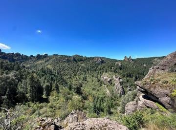 Terreno / Lote , Mineral del Chico · Terreno Boscoso en Venta, Oportunidad de Inversión 11 Herctareas