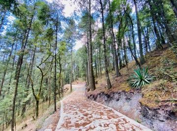 Terreno / Lote , Mineral del Monte · Lote en Residencial Boscoso 670 m²