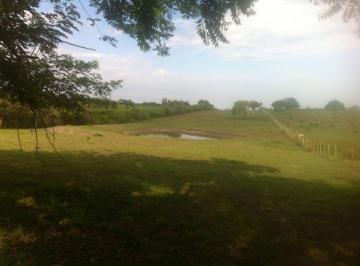 Terreno / Lote · 30000m² · Terreno en Tampico Alto
