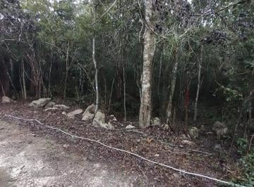 Terreno / Lote · 444m² · Terreno en Venta en Tulum, Quintana Roo.