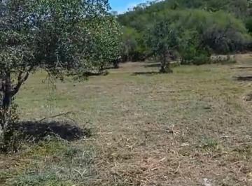 Terreno / Lote , Montemorelos · Terrenos Campestres La Cascara Nl