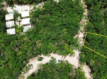 Terreno / Lote · 356m² · Terreno en Tulum