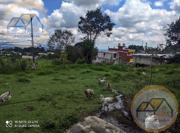 Terreno / Lote · 10000m² · Terreno en Miguel El Soldado