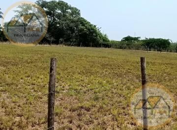Terreno / Lote · 3458m² · Terreno en Valle Alto Veracruz