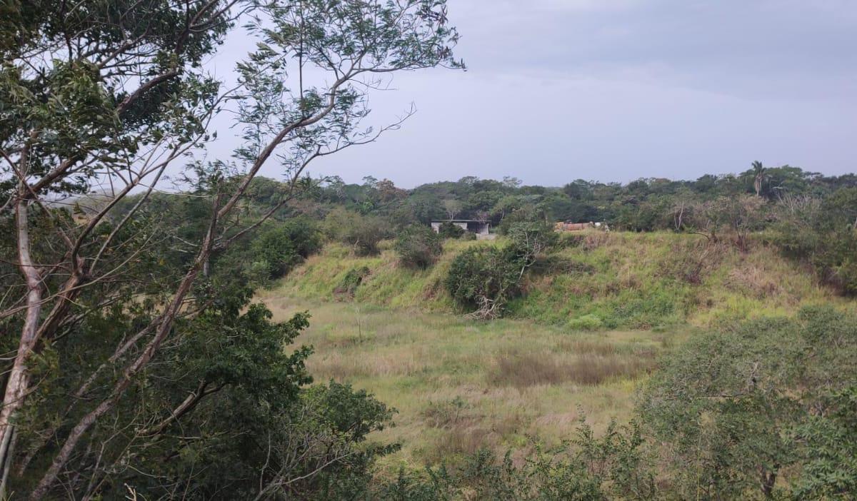 Land for Sale and Rent in Santa Fe