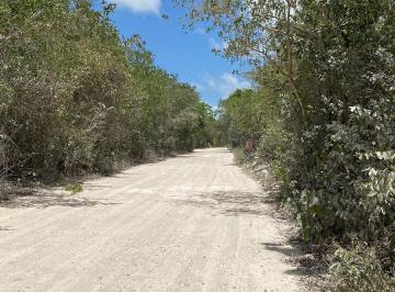 Terreno / Lote · 1000m² · Terreno en Venta en Cancún Atrás de Sumacasa Huayacán