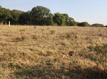 Terreno / Lote · 3000m² · Terreno - Tepexoyuca