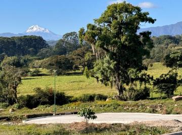 Terreno / Lote · 600m² · Terreno - Coatepec