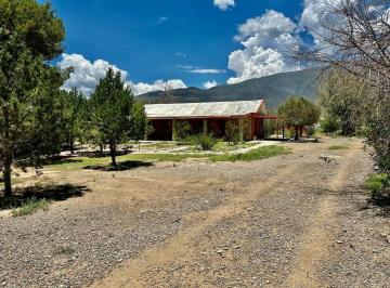 Rancho de 4 habitaciones, Arteaga · Rancho Venta en San Antonio de Las Alazanas, Coahuila