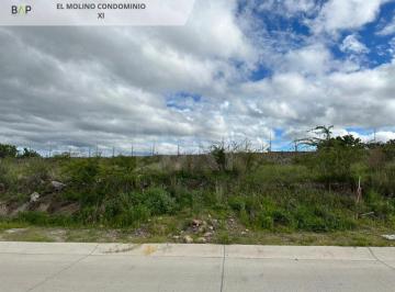 Terreno / Lote , León · Terreno en Venta El Molino Cc Ci A17