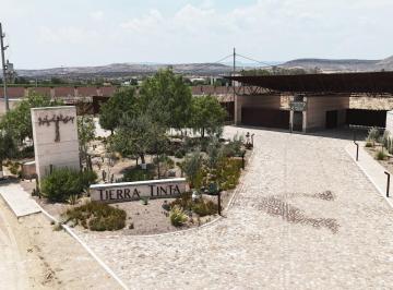 Terreno / Lote · 1122m² · Venta Lotes en Viñedo Reidencial Tierra Tinta Al Poniente de La Ciudad Bi