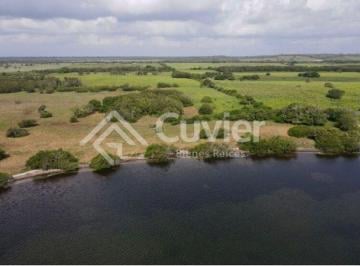 Terreno / Lote · Terreno en Tampico Alto