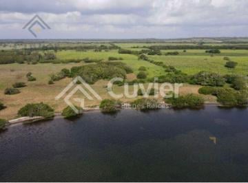 Terreno / Lote · Terreno en Tampico Alto