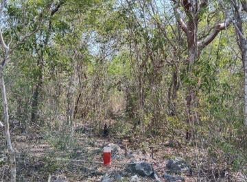 Terreno / Lote , Mérida · Terreno en Venta