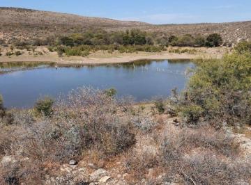 Rancho , San Pedro del Gallo · Finca/rancho - Comercial en Venta