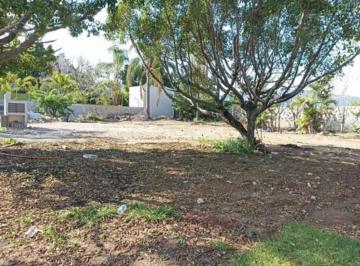 Departamento · 233m² · Terreno - Lomas de Tetela