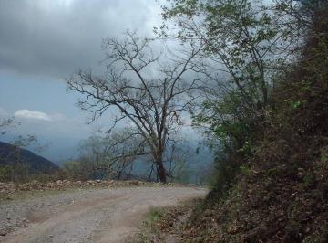 Terreno / Lote , San Sebastián del Oeste · Terreno de 100h en Venta en El Carrizal, San Sebastián del Oeste