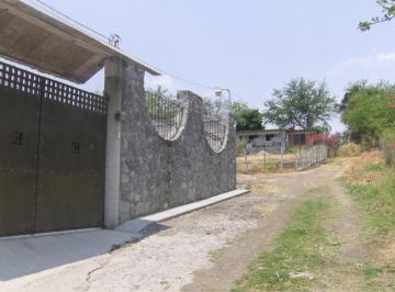 Terreno / Lote , Xochitepec · Terreno en Real del Puente