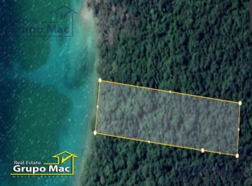 Terreno / Lote · 10785m² · Terreno en Venta en Buenavista, Bacalar, Quintana Roo
