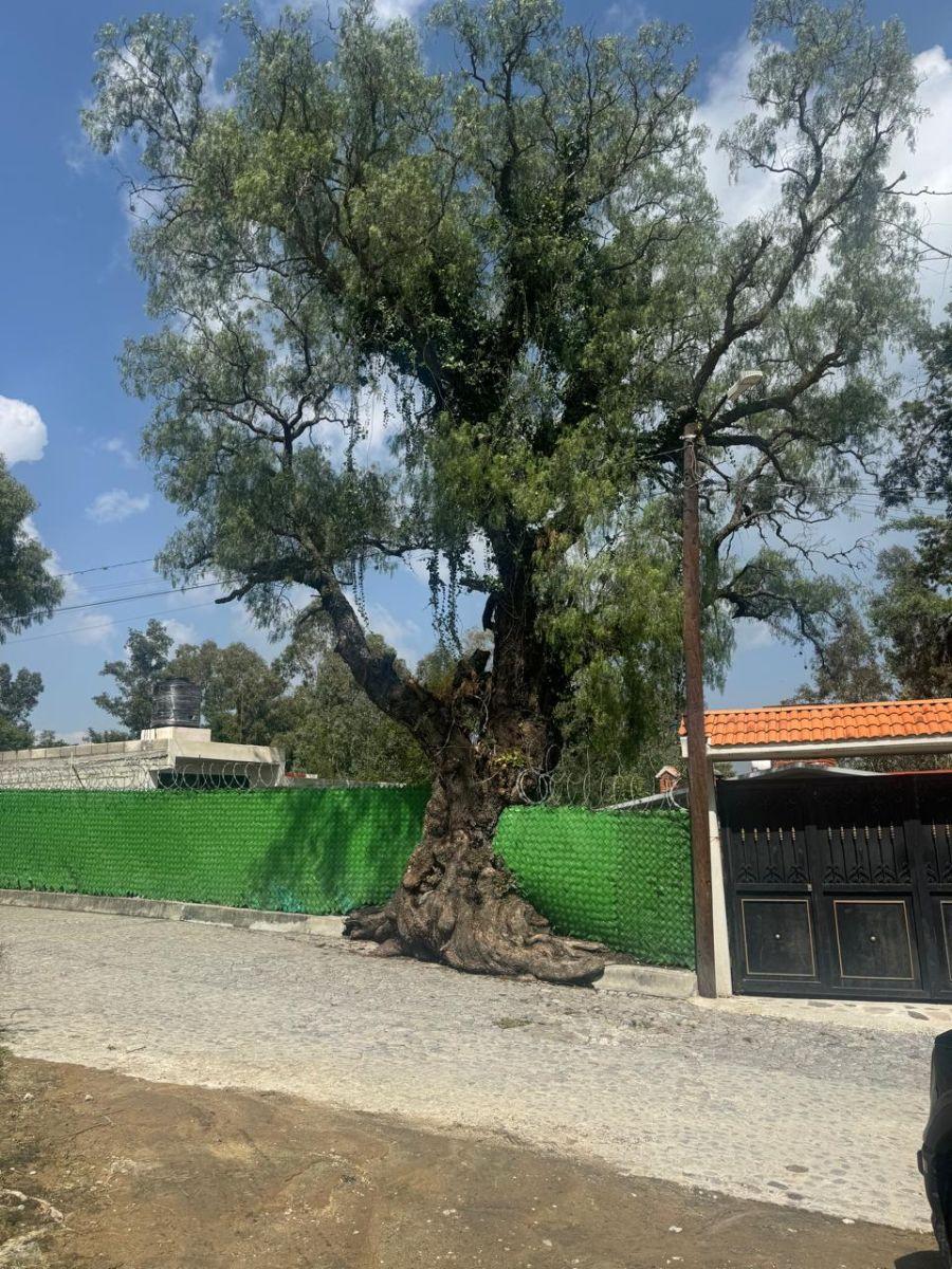 Gran Oportunidad de Terreno en Venta en Tepotzotlán
