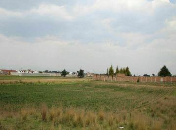 Terreno industrial , Toluca · Terreno Ejidal Cacalomacan Toluca