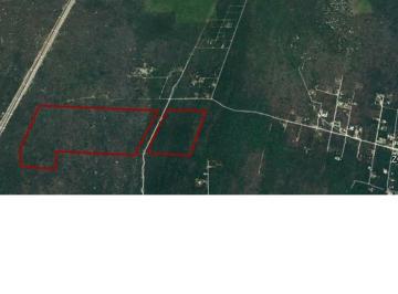 Terreno / Lote , Puerto Morelos · Terreno Puerto Morelos