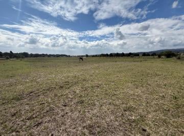 Terreno / Lote · 3461m² · Terreno - Pedregal de Guadalupe Hidalgo
