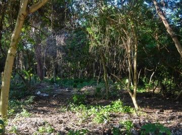 Terreno / Lote · 138m² · Land in Playa del Carmen