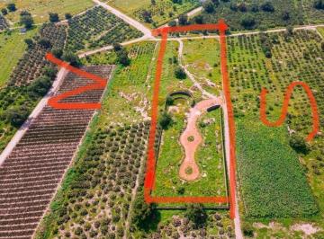 Terreno / Lote , San Martín de las Pirámides · Terreno en Venta, San Martin de Las Piramides - Edo de México