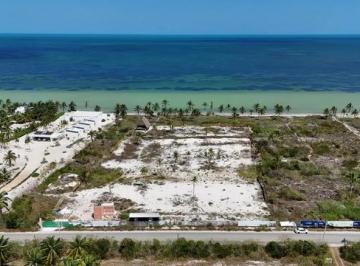 Terreno / Lote , Telchac Puerto · Terreno Frente Al Mar en Telchac Puerto