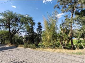 Terreno / Lote , Tlajomulco de Zúñiga · Terreno en Venta en Tlajomulco con Casa y Amplio Jardín