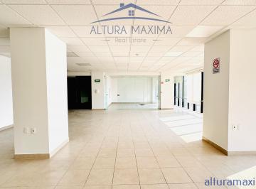 Oficina , Zapopan · Oficinas Corporativas en Renta Las Aguilas Lopez Mateos Zapopan