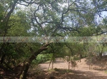 Terreno / Lote · 4872m² · Terreno / Lote en Venta en Canoas