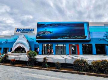 Local comercial , Veracruz · ¡Oportunidad Comercial en El Corazón de Veracruz! Renta de Local en Acuario