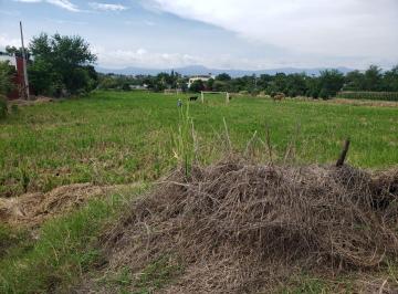 Terreno / Lote · 2000m² · Terreno en Temixco