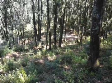 Terreno / Lote , Mineral del Monte · Terreno Rústico de 564 m² en Venta Mineral del Monte – $653,800 Mxn