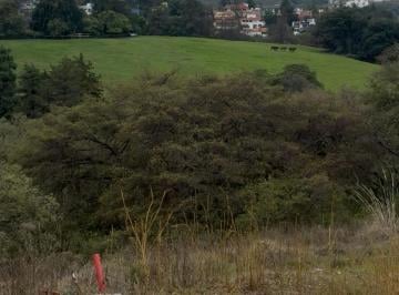 Terreno / Lote , Atizapán de Zaragoza · Terreno Rancho San Juan